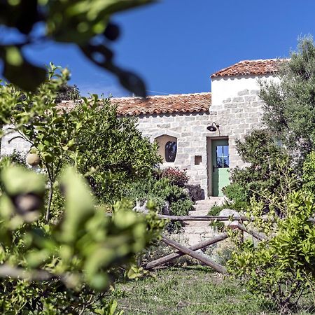 Gallicantu Stazzo Retreat Luogosanto Екстер'єр фото