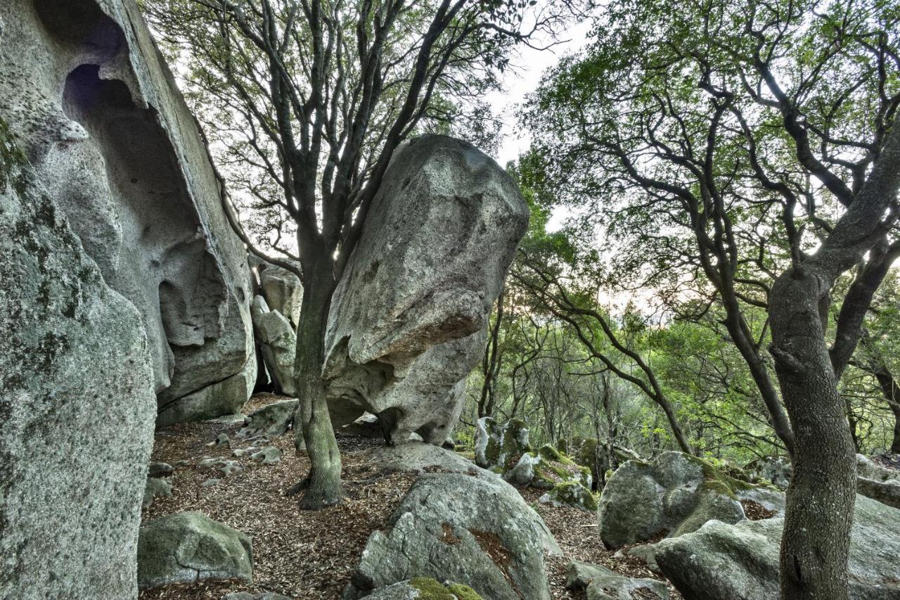 Gallicantu Stazzo Retreat Luogosanto Екстер'єр фото