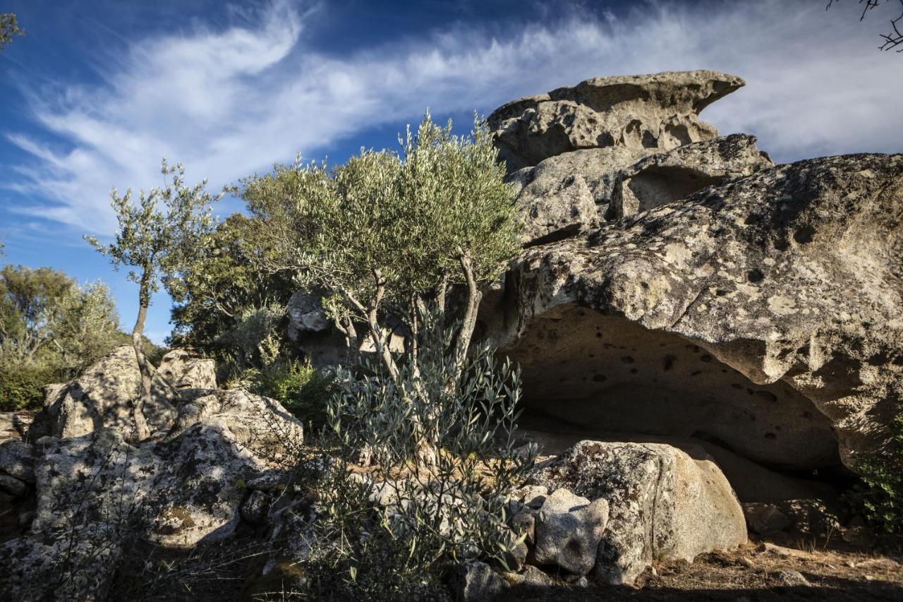 Gallicantu Stazzo Retreat Luogosanto Екстер'єр фото