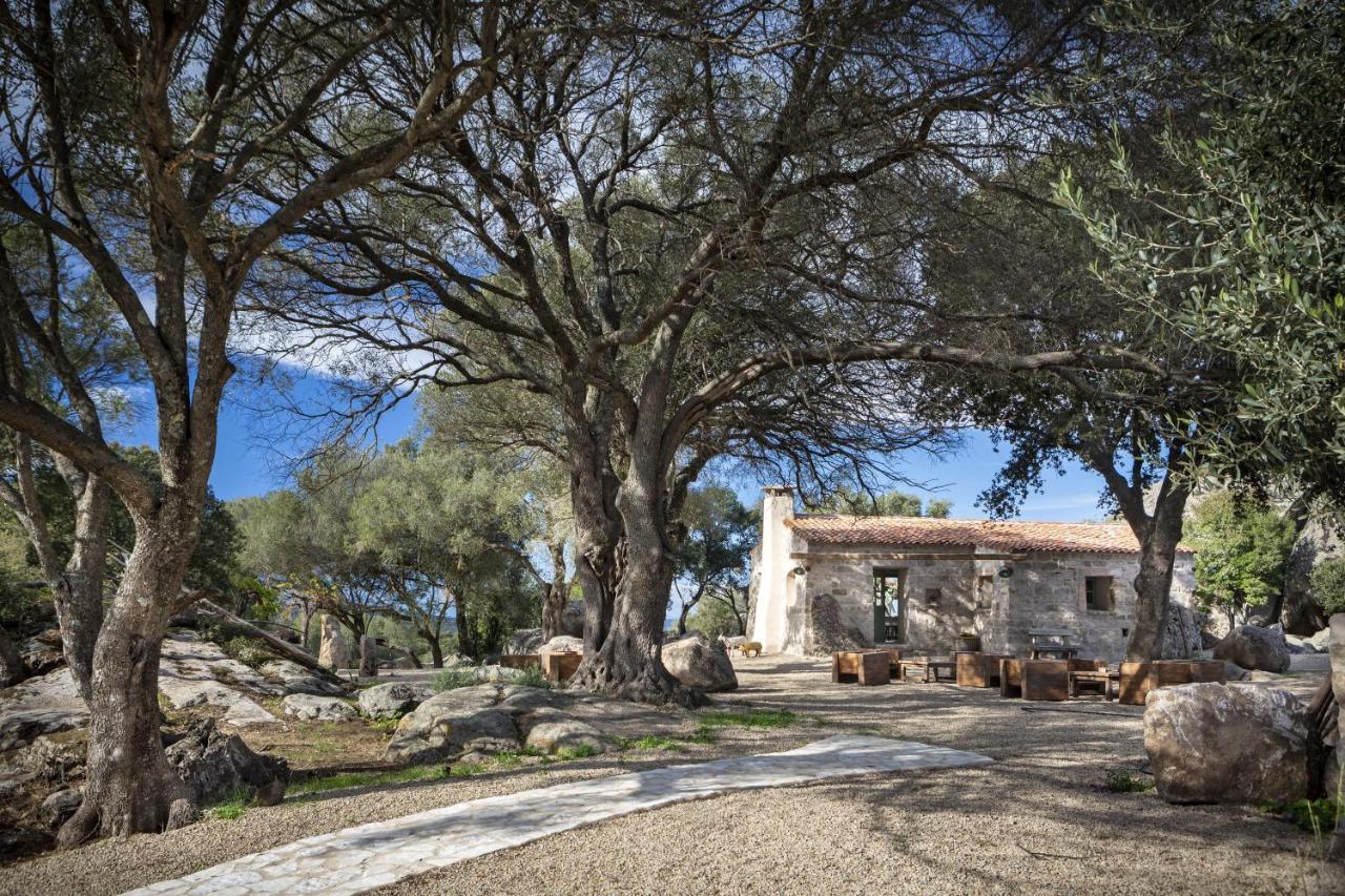 Gallicantu Stazzo Retreat Luogosanto Екстер'єр фото