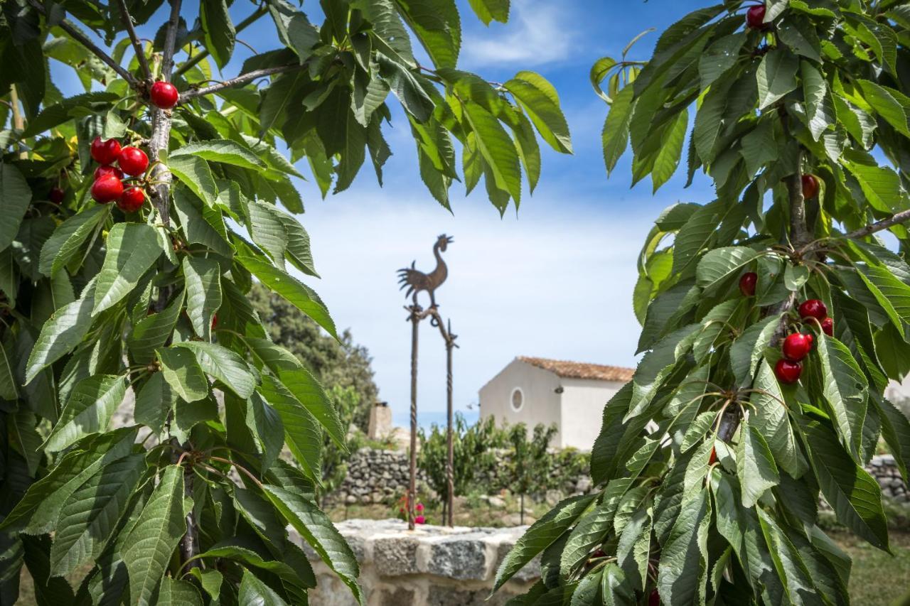 Gallicantu Stazzo Retreat Luogosanto Екстер'єр фото