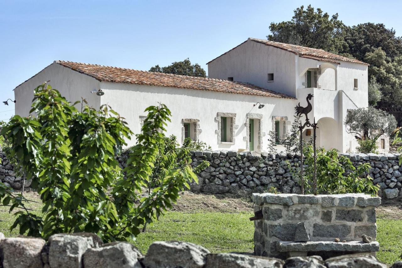 Gallicantu Stazzo Retreat Luogosanto Екстер'єр фото